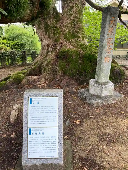 北野天満宮の自然