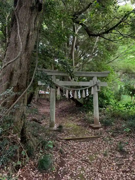 熊野神社の鳥居