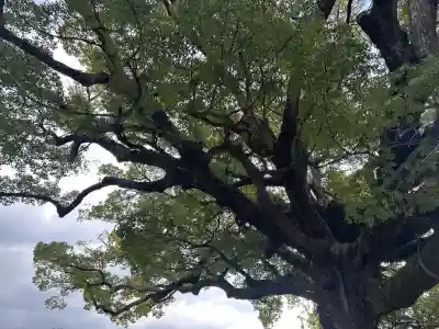 百舌鳥八幡宮(大阪府)