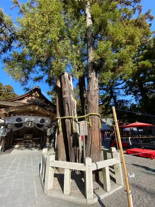 建部大社の自然