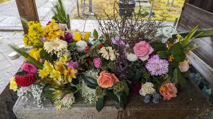 勝林寺(京都府)