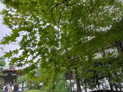 天球院(京都府)