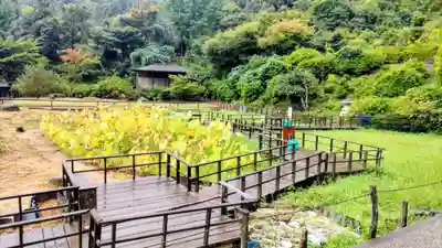 大安禅寺(福井県)