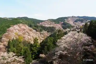 𠮷水神社(吉水神社)の景色