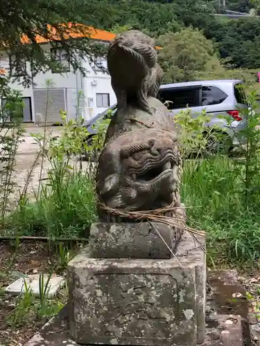 坂本八幡神社の狛犬