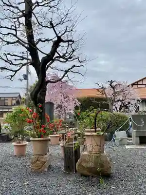 實相寺（実相寺） (京都府)