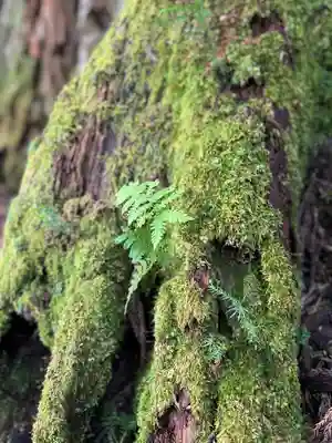 雄山神社中宮祈願殿(富山県)