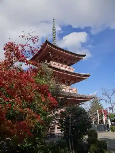 真禅院(岐阜県)