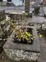 熊野福藏神社(福島県)