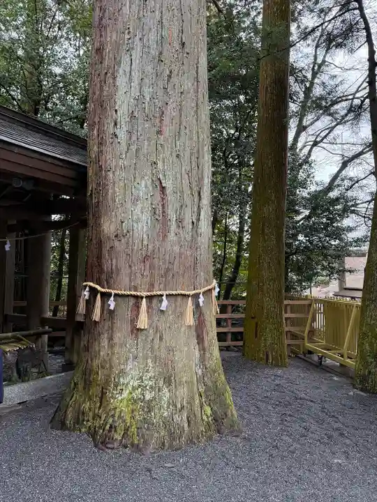 椿大神社(三重県)