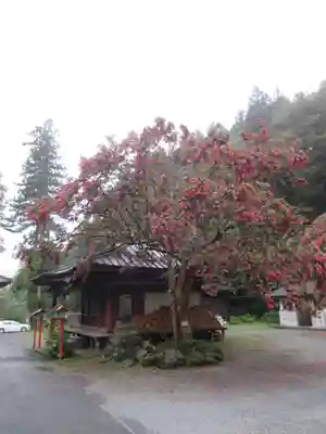満願寺のその他建物