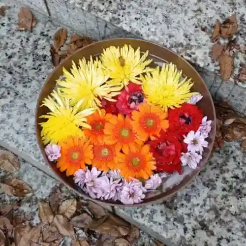 彌彦神社　(伊夜日子神社)の芸術