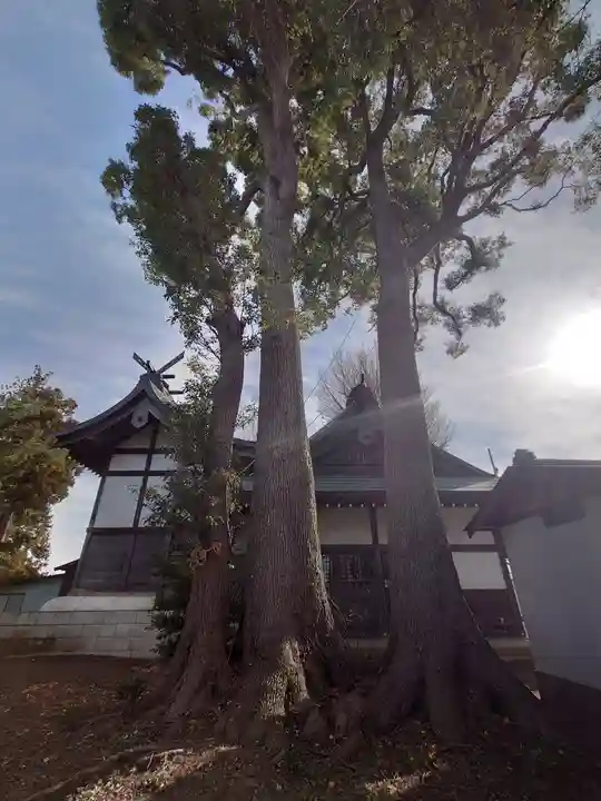 小動神社(神奈川県)