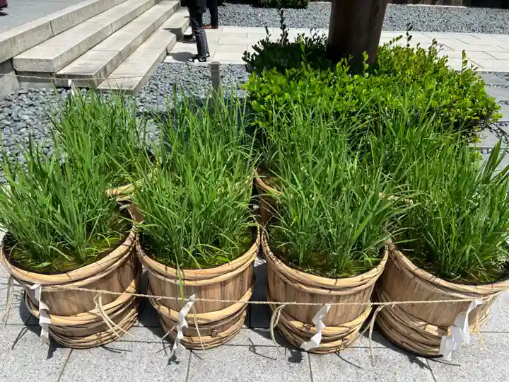 東京大神宮(東京都)