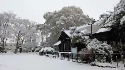 新琴似神社(北海道)