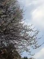 石内のお大師さん 金剛院(広島県)