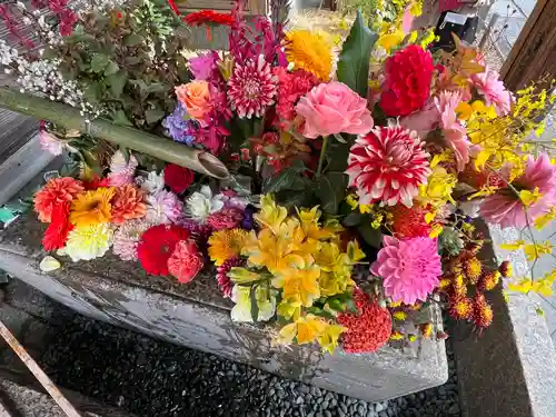 勝林寺(京都府)