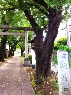 田端神社(東京都)