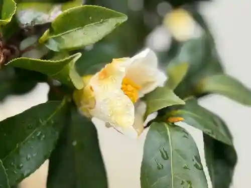 西方山極楽寺(岐阜県)