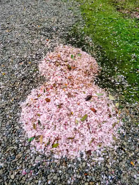 秋葉神社の{uncategorized: "未分類", other: "その他", undefined: "問題あり", building: "その他建物", grave: "お墓", sacred_gate: "鳥居", guardian: "狛犬", statue: "像", buddha: "仏像", history: "歴史", nature: "自然", garden: "庭園", animal: "動物", pagoda: "塔", temizu: "手水舎", mountain_gate: "山門・神門", sanctuary: "本殿・本堂", subordinate: "末社・摂社", art: "芸術", scenery: "景色", jizo: "地蔵", ema: "絵馬", goshuin: "御朱印", omikuji: "おみくじ", items: "授与品その他", amulet: "お守り", goshuincho: "御朱印帳", eats: "食事", festival: "お祭り", votive_dance: "神楽", shichigosan: "七五三参", wedding: "結婚式", experience: "体験その他", initially: "初詣", around: "周辺", anti_infection: "感染症対策"}