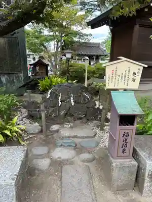 千葉神社(千葉県)