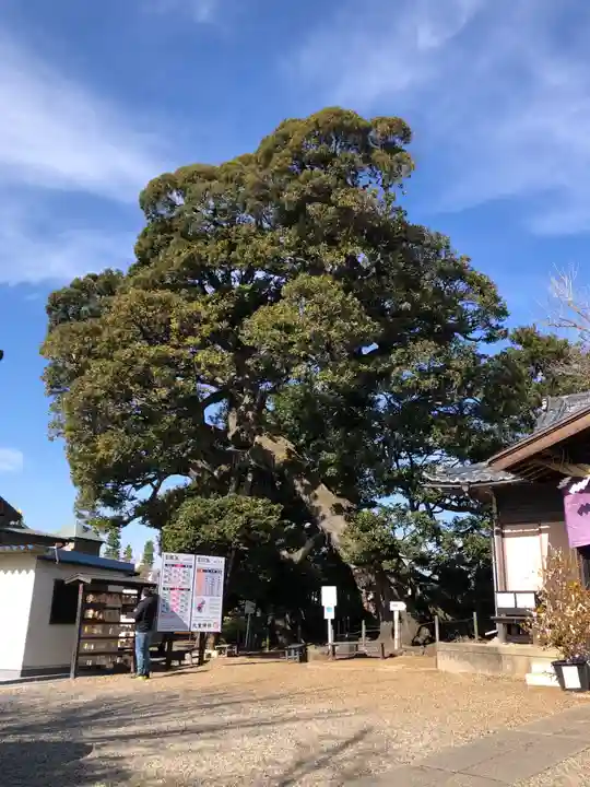 九重神社の自然