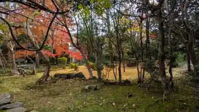 栖賢寺(京都府)