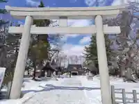 鷹栖神社の鳥居