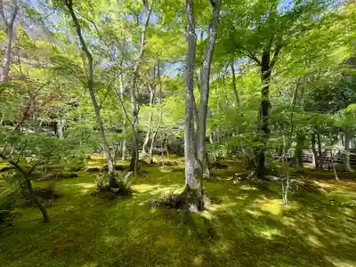 祇王寺(京都府)