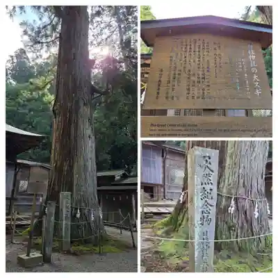 日枝神社(岐阜県)