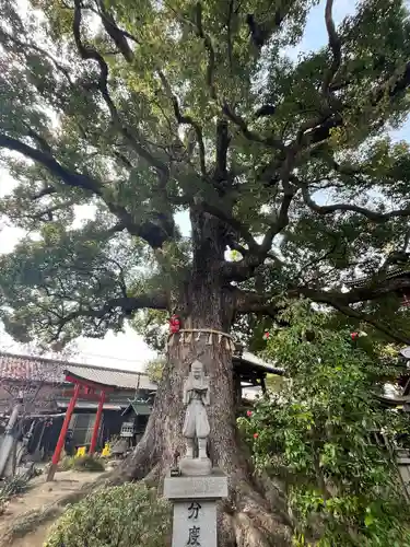 法楽寺(大阪府)