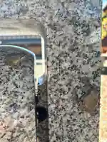 田中神社(滋賀県)