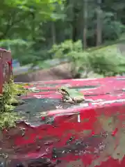 中野神社(福井県)