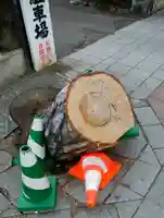 豊川稲荷札幌別院(玉宝禅寺)の周辺