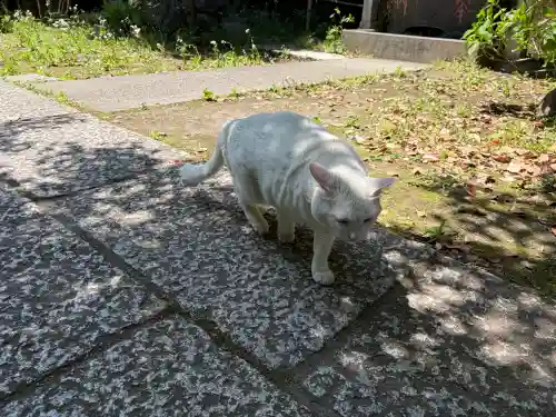 久國神社の{uncategorized: "未分類", other: "その他", undefined: "問題あり", building: "その他建物", grave: "お墓", sacred_gate: "鳥居", guardian: "狛犬", statue: "像", buddha: "仏像", history: "歴史", nature: "自然", garden: "庭園", animal: "動物", pagoda: "塔", temizu: "手水舎", mountain_gate: "山門・神門", sanctuary: "本殿・本堂", subordinate: "末社・摂社", art: "芸術", scenery: "景色", jizo: "地蔵", ema: "絵馬", goshuin: "御朱印", omikuji: "おみくじ", items: "授与品その他", amulet: "お守り", goshuincho: "御朱印帳", eats: "食事", festival: "お祭り", votive_dance: "神楽", shichigosan: "七五三参", wedding: "結婚式", experience: "体験その他", initially: "初詣", around: "周辺", anti_infection: "感染症対策"}