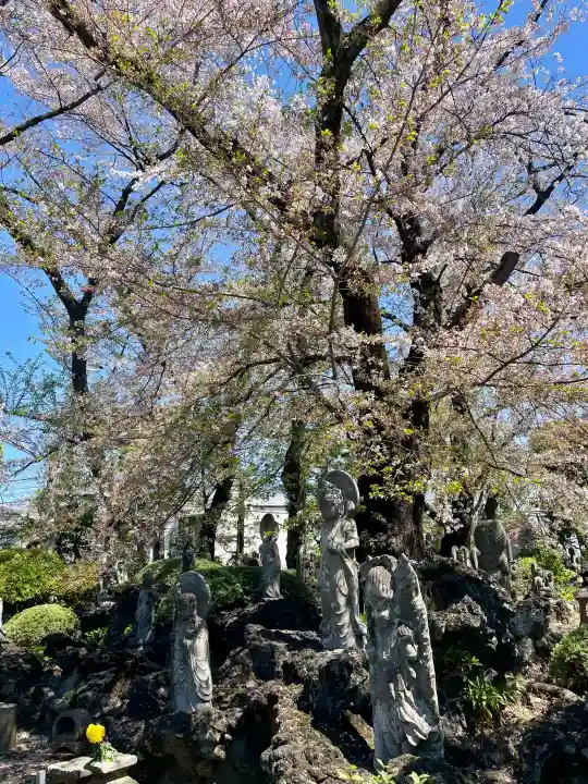 明治寺の{uncategorized: "未分類", other: "その他", undefined: "問題あり", building: "その他建物", grave: "お墓", sacred_gate: "鳥居", guardian: "狛犬", statue: "像", buddha: "仏像", history: "歴史", nature: "自然", garden: "庭園", animal: "動物", pagoda: "塔", temizu: "手水舎", mountain_gate: "山門・神門", sanctuary: "本殿・本堂", subordinate: "末社・摂社", art: "芸術", scenery: "景色", jizo: "地蔵", ema: "絵馬", goshuin: "御朱印", omikuji: "おみくじ", items: "授与品その他", amulet: "お守り", goshuincho: "御朱印帳", eats: "食事", festival: "お祭り", votive_dance: "神楽", shichigosan: "七五三参", wedding: "結婚式", experience: "体験その他", initially: "初詣", around: "周辺", anti_infection: "感染症対策"}