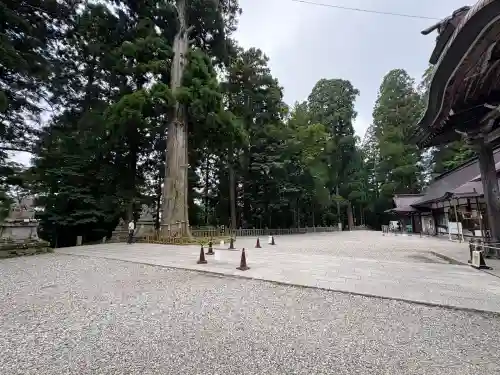戸隠神社中社(長野県)