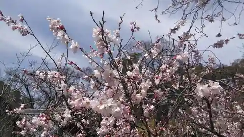 宗像神社の自然