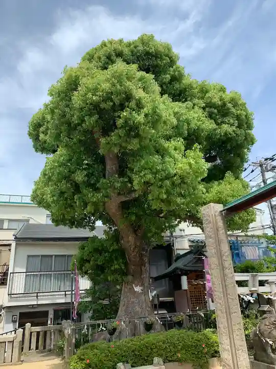 生野八坂神社(大阪府)