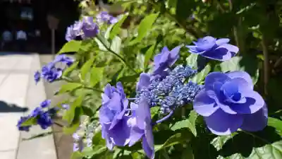 報徳二宮神社(神奈川県)