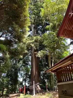 麻賀多神社奥宮(千葉県)