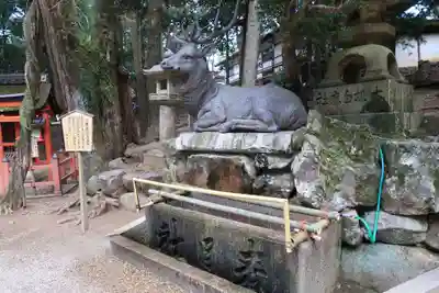 春日大社の手水舎