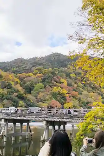 天龍寺の景色