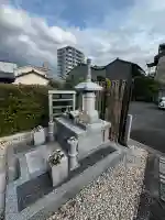 萬年寺(万年寺)の{uncategorized: "未分類", other: "その他", undefined: "問題あり", building: "その他建物", grave: "お墓", sacred_gate: "鳥居", guardian: "狛犬", statue: "像", buddha: "仏像", history: "歴史", nature: "自然", garden: "庭園", animal: "動物", pagoda: "塔", temizu: "手水舎", mountain_gate: "山門・神門", sanctuary: "本殿・本堂", subordinate: "末社・摂社", art: "芸術", scenery: "景色", jizo: "地蔵", ema: "絵馬", goshuin: "御朱印", omikuji: "おみくじ", items: "授与品その他", amulet: "お守り", goshuincho: "御朱印帳", eats: "食事", festival: "お祭り", votive_dance: "神楽", shichigosan: "七五三参", wedding: "結婚式", experience: "体験その他", initially: "初詣", around: "周辺", anti_infection: "感染症対策"}