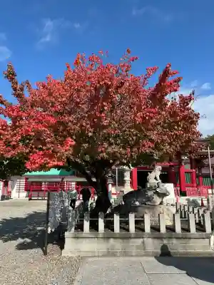 上野天満宮(愛知県)