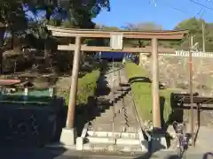 白鬚神社の鳥居