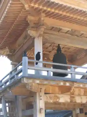 法華寺(福井県)