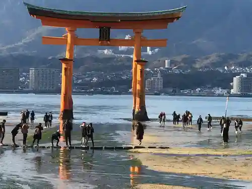 厳島神社の鳥居