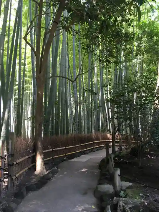 報国寺(神奈川県)