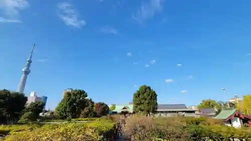 亀戸天神社の景色